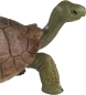 Preview: Wild Safari Wildlife Tierfigur Riesenschildkröte (Giant Tortoise) von Safari Ltd.